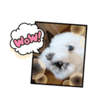 かねねんのうめ吉くん⑤（個別スタンプ：11）