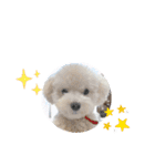 かねねんのうめ吉くん⑤（個別スタンプ：15）