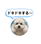 かねねんのうめ吉くん⑤（個別スタンプ：17）