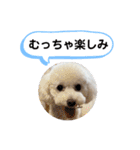 かねねんのうめ吉くん⑤（個別スタンプ：19）