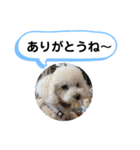 かねねんのうめ吉くん⑤（個別スタンプ：20）