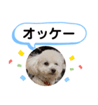 かねねんのうめ吉くん⑤（個別スタンプ：21）