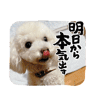 かねねんのうめ吉くん⑤（個別スタンプ：22）