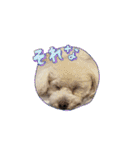 かねねんのうめ吉くん⑤（個別スタンプ：23）