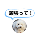 かねねんのうめ吉くん⑤（個別スタンプ：28）
