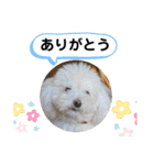 かねねんのうめ吉くん⑤（個別スタンプ：30）