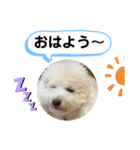 かねねんのうめ吉くん⑤（個別スタンプ：31）