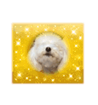 かねねんのうめ吉くん⑤（個別スタンプ：32）
