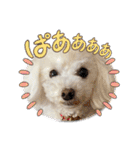 かねねんのうめ吉くん⑤（個別スタンプ：37）