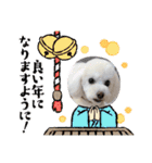 かねねんのうめ吉くん⑤（個別スタンプ：38）