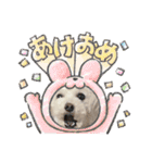 かねねんのうめ吉くん⑤（個別スタンプ：39）