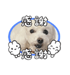 かねねんのうめ吉くん⑤（個別スタンプ：40）