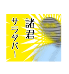 お味噌 降臨爆散（個別スタンプ：2）