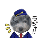 いつも可愛いわんわん（個別スタンプ：2）