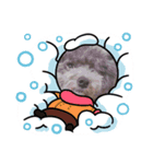 いつも可愛いわんわん（個別スタンプ：4）