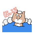 疾風のハヤテ号 あけおめスタンプ（個別スタンプ：8）