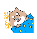 疾風のハヤテ号 あけおめスタンプ（個別スタンプ：28）