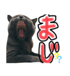 ぶるくんの日常3（個別スタンプ：8）