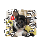 ピノスタンプ 写真（個別スタンプ：6）