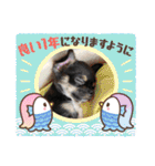ピノスタンプ 写真（個別スタンプ：19）