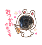 ピノスタンプ 写真（個別スタンプ：29）