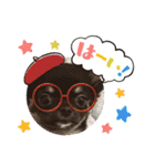 ピノスタンプ 写真（個別スタンプ：34）