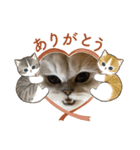 まさもさまる（個別スタンプ：2）
