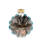 まさもさまる（個別スタンプ：6）