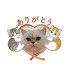まさもさまる（個別スタンプ：7）