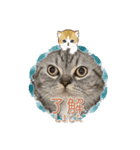 まさもさまる（個別スタンプ：9）