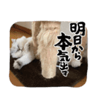 まさもさまる（個別スタンプ：10）