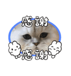 まさもさまる（個別スタンプ：14）