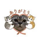 まさもさまる（個別スタンプ：16）