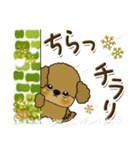 プードル犬 6『時々関西弁(冬)』（個別スタンプ：9）
