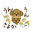 プードル犬 6『時々関西弁(冬)』（個別スタンプ：25）