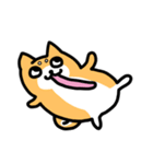 めんどい柴犬（個別スタンプ：3）