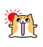 めんどい柴犬（個別スタンプ：5）