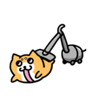 めんどい柴犬（個別スタンプ：14）