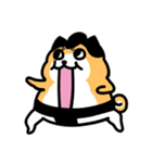 めんどい柴犬（個別スタンプ：25）