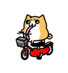 めんどい柴犬（個別スタンプ：27）