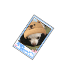 kuro スタンプ（個別スタンプ：3）