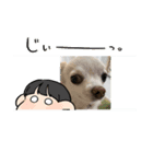 kuro スタンプ（個別スタンプ：5）