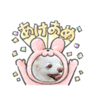 kuro スタンプ（個別スタンプ：6）