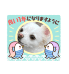 kuro スタンプ（個別スタンプ：7）