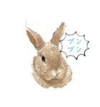2023うさぎ日常（個別スタンプ：10）