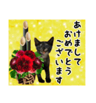 mon*habi【あけおめ・メリクリ・誕生日】①（個別スタンプ：3）