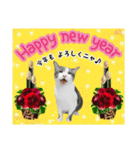 mon*habi【あけおめ・メリクリ・誕生日】①（個別スタンプ：4）