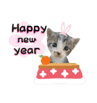 mon*habi【あけおめ・メリクリ・誕生日】①（個別スタンプ：8）