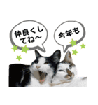 mon*habi【あけおめ・メリクリ・誕生日】①（個別スタンプ：9）