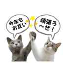 mon*habi【あけおめ・メリクリ・誕生日】①（個別スタンプ：10）
